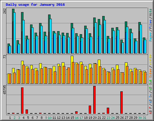 Daily usage for January 2016