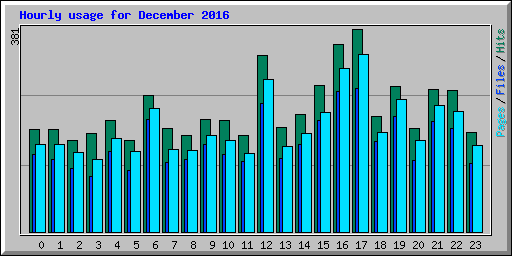 Hourly usage for December 2016