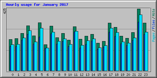 Hourly usage for January 2017